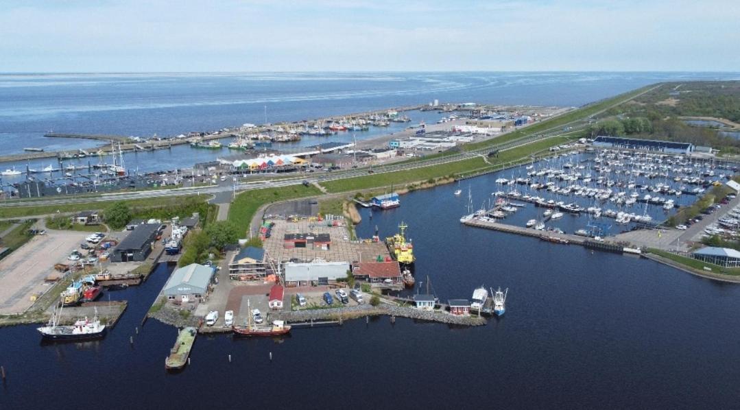 Waterhuisjes Op De Pier Van Lauwersmeerplezier! Lauwersoog Εξωτερικό φωτογραφία